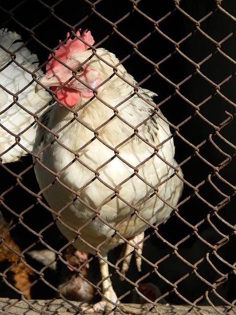 还给予更加 还给予更加