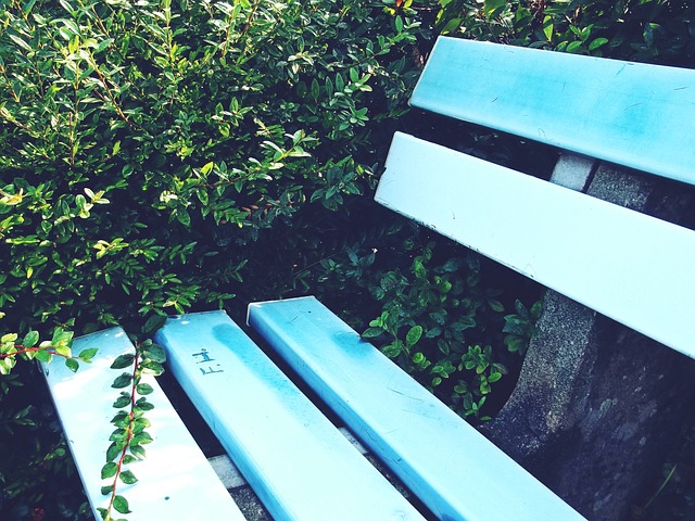 他的一舉一 他的一舉一