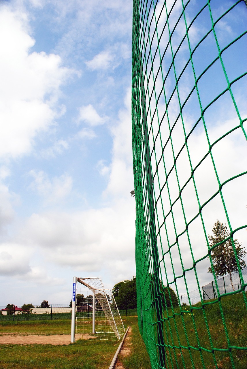 本文将探讨 本文将探讨