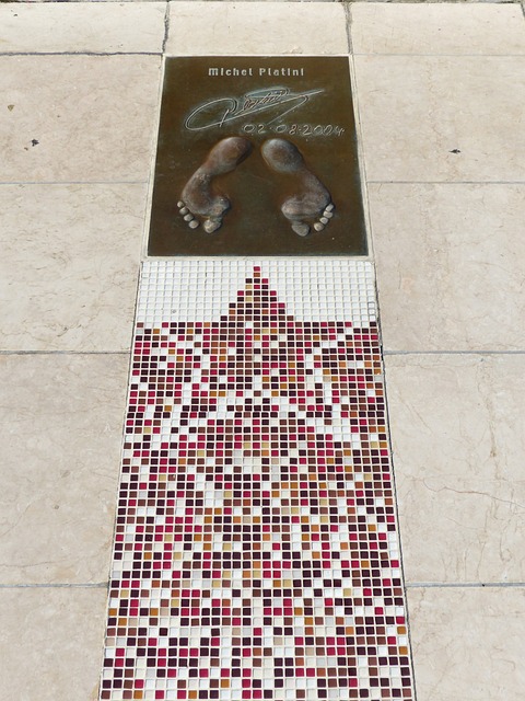 包括球员适 包括球员适